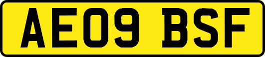 AE09BSF