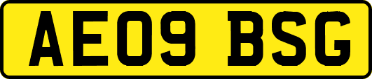AE09BSG