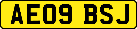 AE09BSJ