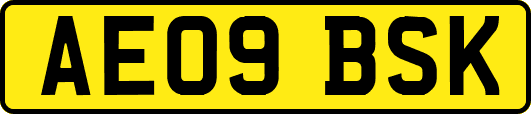 AE09BSK