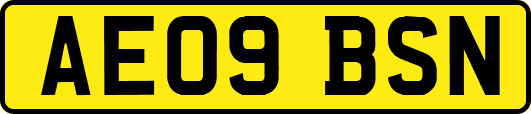 AE09BSN