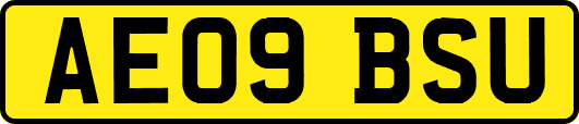 AE09BSU