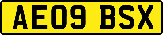 AE09BSX