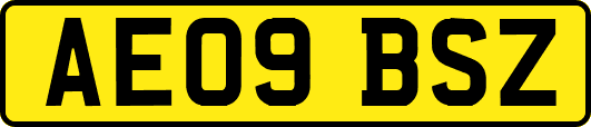 AE09BSZ