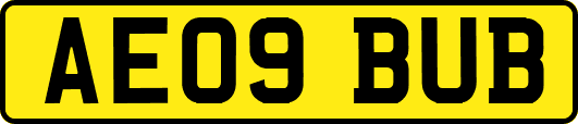 AE09BUB