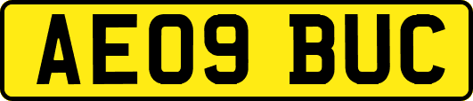 AE09BUC