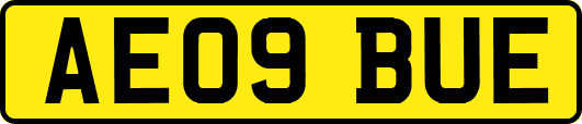 AE09BUE