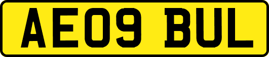 AE09BUL