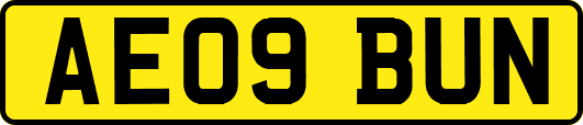 AE09BUN