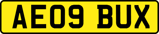 AE09BUX