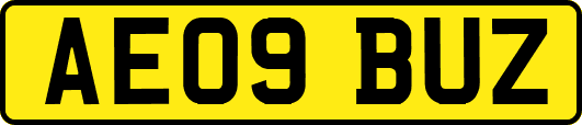 AE09BUZ