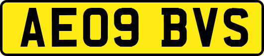 AE09BVS