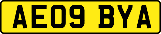 AE09BYA