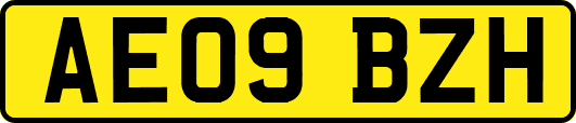 AE09BZH