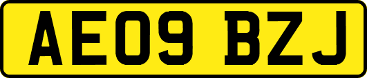 AE09BZJ