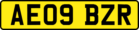AE09BZR