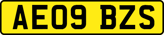 AE09BZS