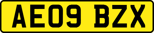 AE09BZX