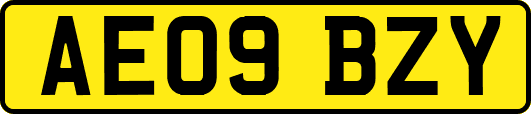 AE09BZY