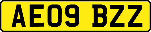 AE09BZZ