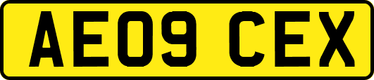 AE09CEX