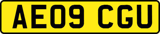 AE09CGU