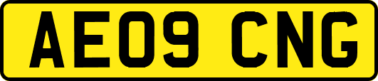 AE09CNG