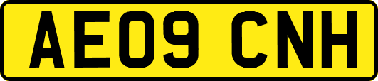 AE09CNH