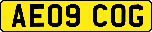 AE09COG