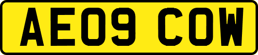 AE09COW