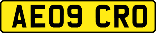 AE09CRO