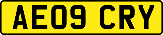 AE09CRY