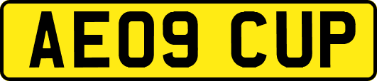 AE09CUP