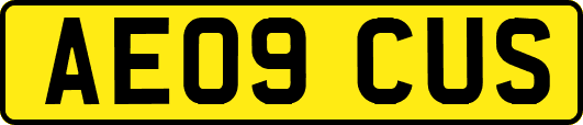 AE09CUS