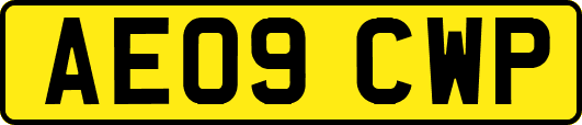 AE09CWP