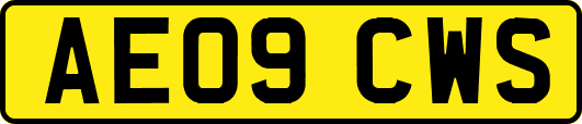 AE09CWS