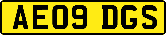 AE09DGS