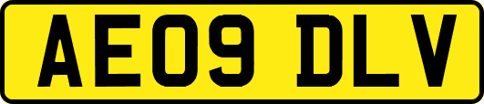 AE09DLV