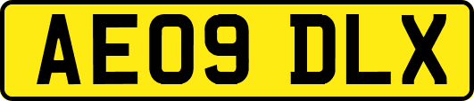 AE09DLX