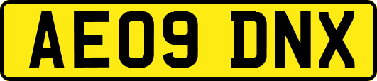 AE09DNX