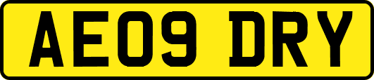 AE09DRY