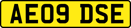 AE09DSE