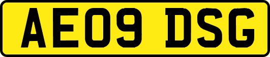 AE09DSG