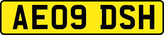 AE09DSH