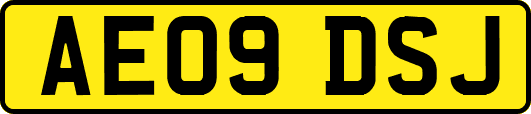 AE09DSJ
