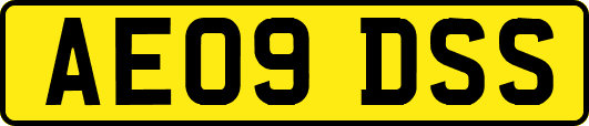 AE09DSS