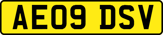AE09DSV