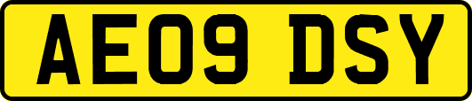 AE09DSY