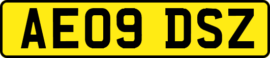 AE09DSZ