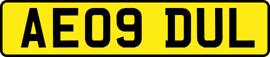 AE09DUL